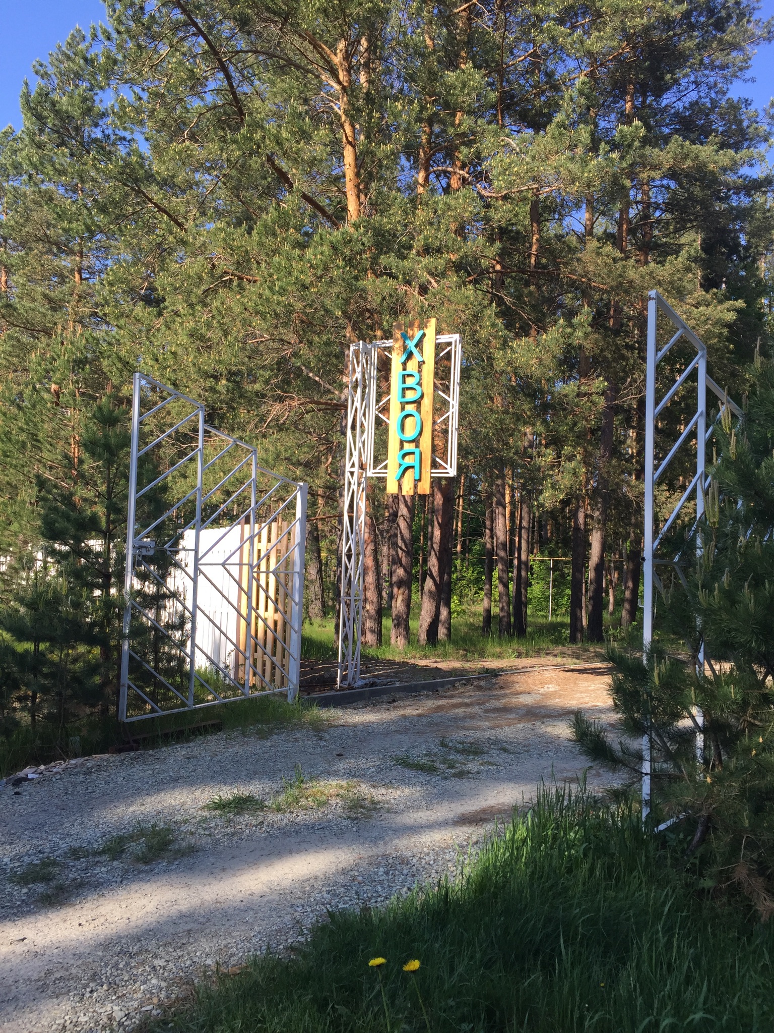 Хвоя: отзыв от Екатерина