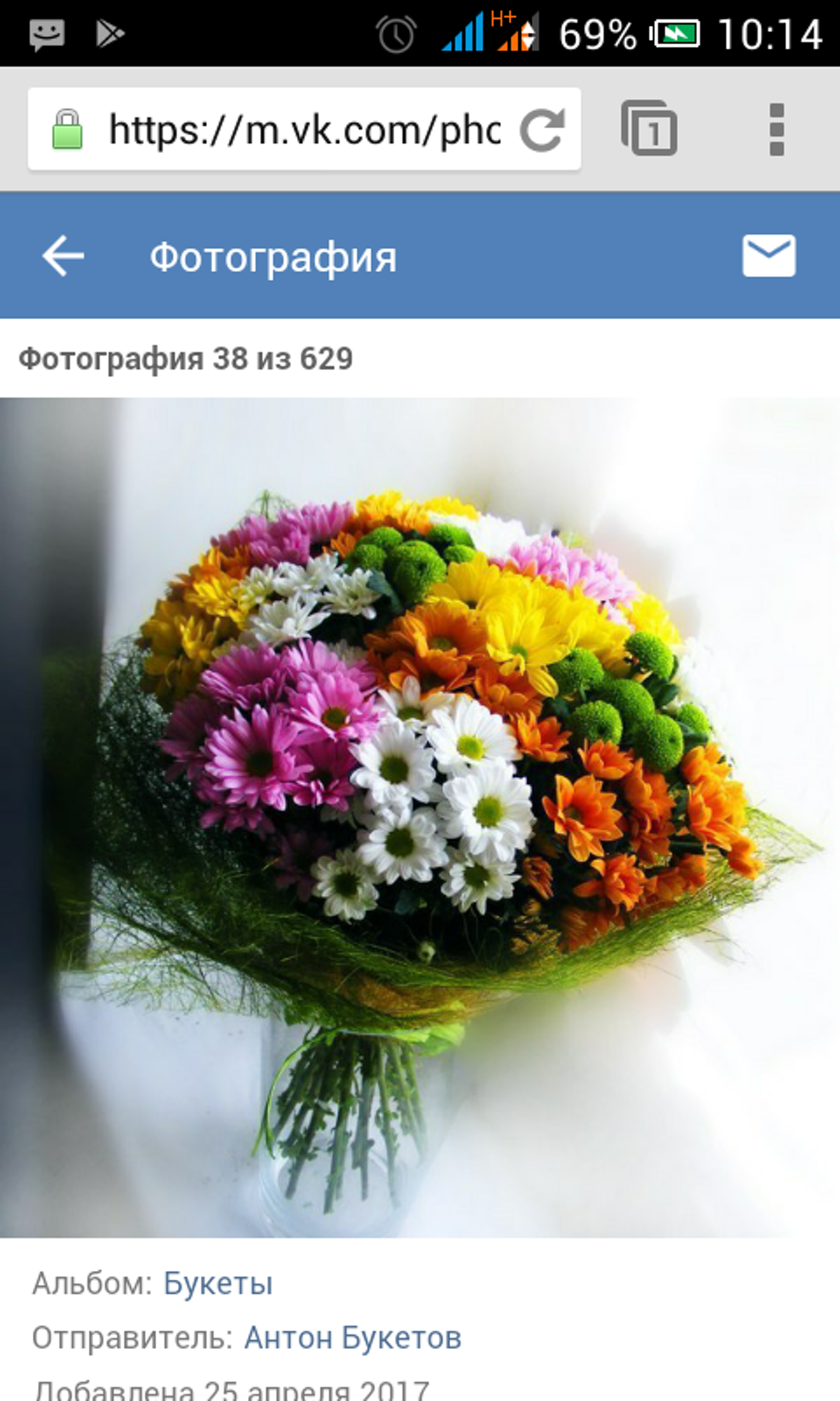 Оптовые цветы в тамбове Оптовые цветы в тамбове