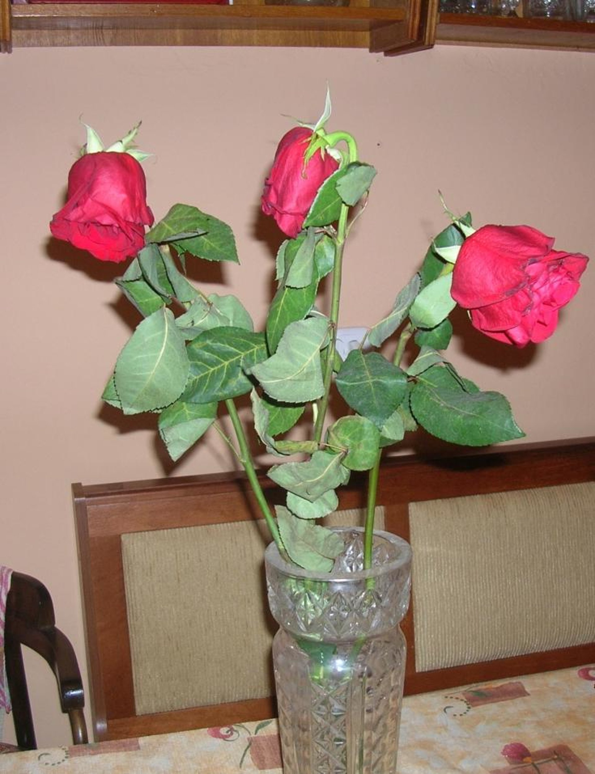 Как сохранить свежие розы в вазе