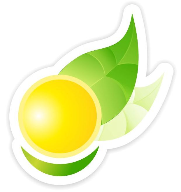 Главный врач детской поликлиники 4 г уфа