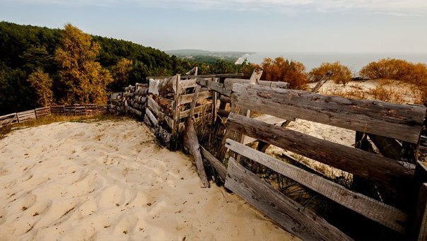 Понарт: отзыв от Виктория_красивая