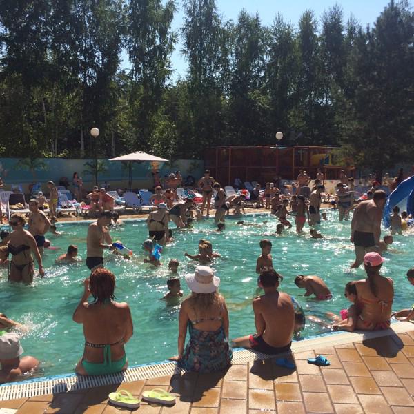 Запись в поликлинику люберцы толстого