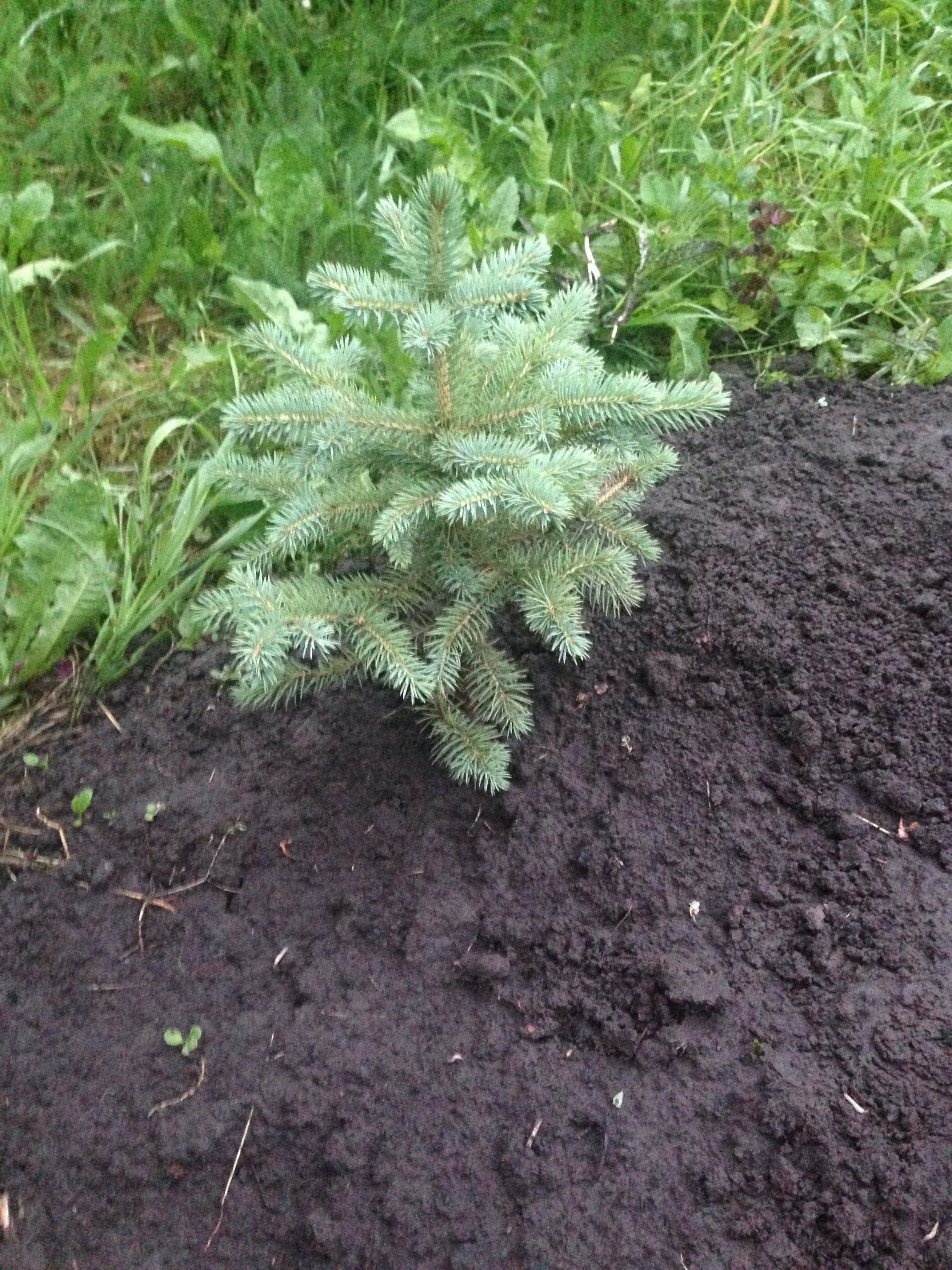 Зеленстрой, Яковлева, 76, Томск — 2ГИС