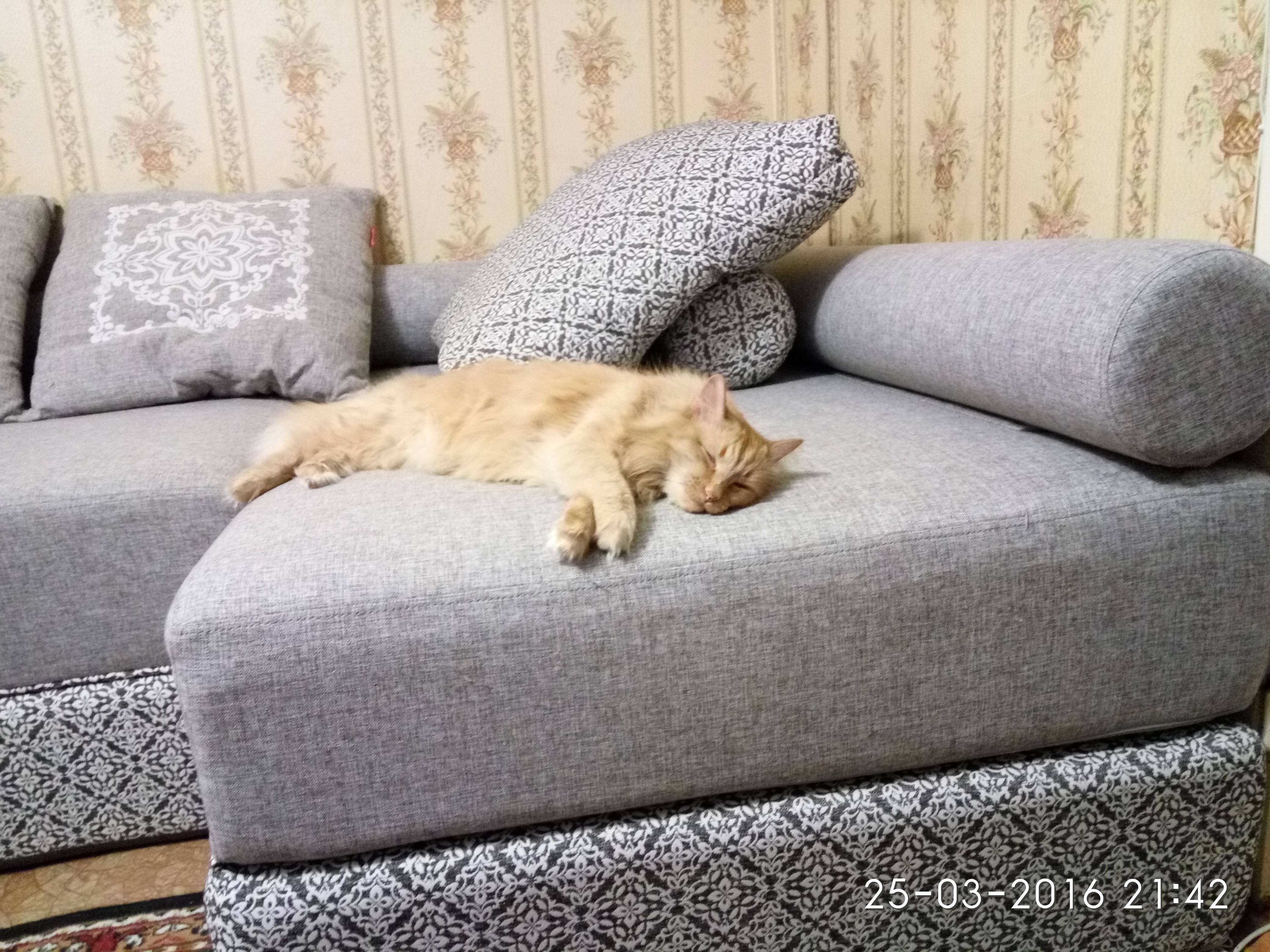 Фото покупателя к отзыву burlakovtn