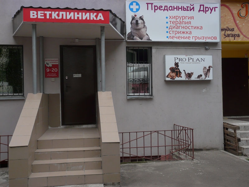 ветеринарная клиника на светлановской площади нарушения